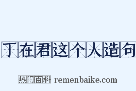 丁在君这个人造句是什么意思的图片